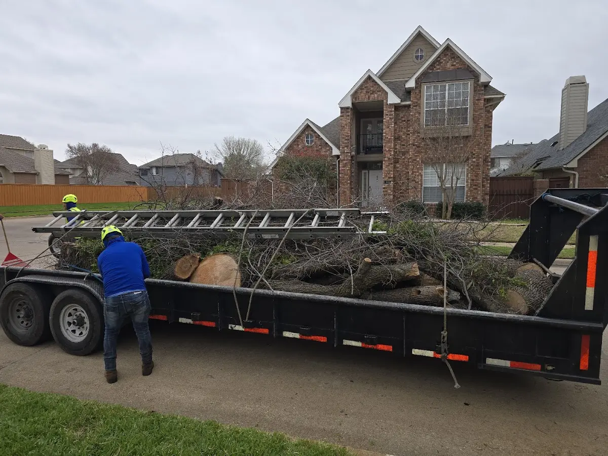 Expert Tree Fertilization with proper safety equipment in Oldwick
